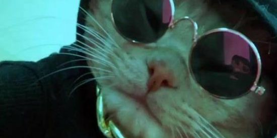 Imagem do grupo de WhatsApp Fazer amigos ❤️