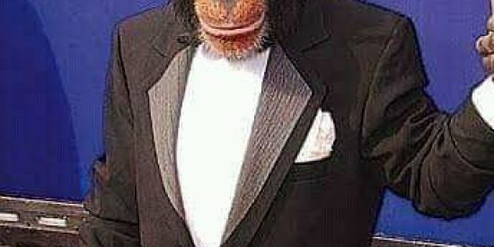 Imagem do grupo de WhatsApp 🛐⚠️Shit_Purga⚠️🛐