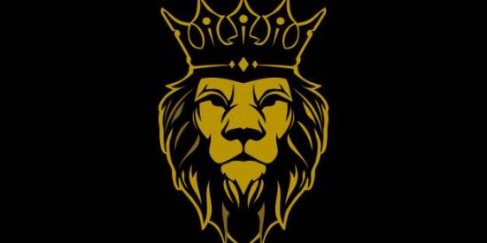 Imagem do grupo de WhatsApp REI DOS REELS💥👑