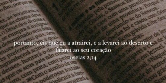 Imagem do grupo de WhatsApp irmãos em Cristo 🙇🏻‍♀️🙏🏻✝️