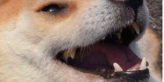 Imagem do grupo de WhatsApp Roles e novas amizades 👀