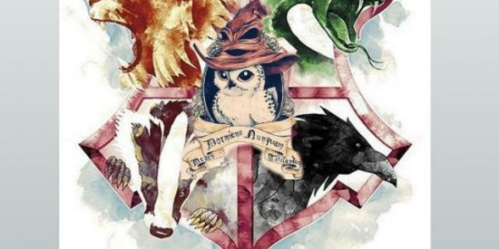 Imagem do grupo de WhatsApp •🐍🦡°•Chapéu Seletor •°🦅🦁