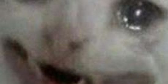 Imagem do grupo de WhatsApp Zoeira Total 🤡🤪