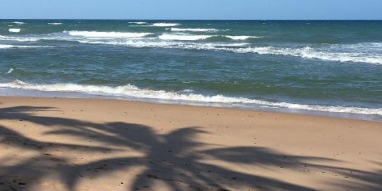 Imagem do grupo de WhatsApp DDD(85)&(88)_BROTAAA💭