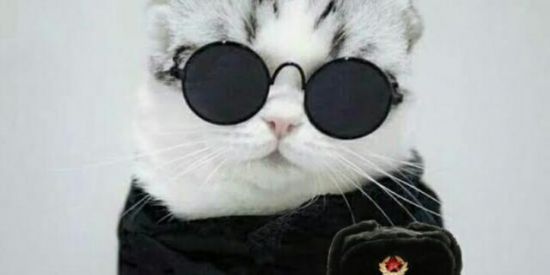 Imagem do grupo de WhatsApp 🔰RUSSIA 🔰