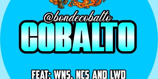 Imagem do grupo de WhatsApp 🦊RECRUTAMENTO Cb's🦊