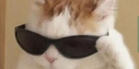 Imagem do grupo de WhatsApp Amizade 2021