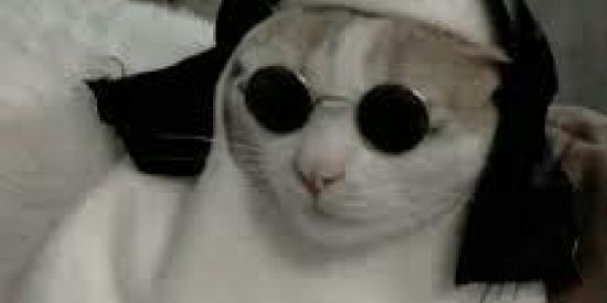 Imagem do grupo de WhatsApp _Grupo👽_ sem😄_ regras_📃😱🤩