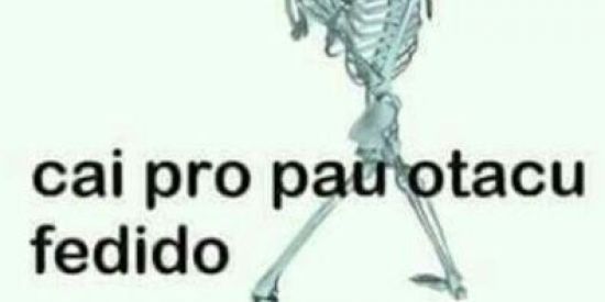 Imagem do grupo de WhatsApp barões da baladinha