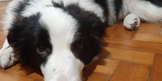 Imagem do grupo de WhatsApp Amizadesssss💕❤️