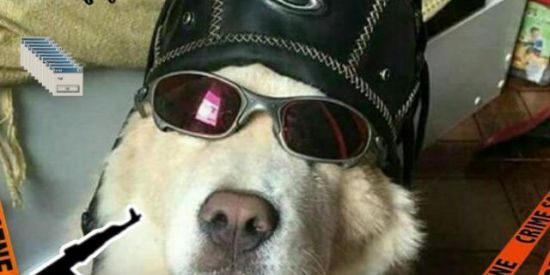 Imagem do grupo de WhatsApp HYPE ON SHIT