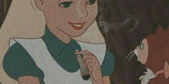Imagem do grupo de WhatsApp alice e o país da maconha