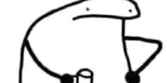 Imagem do grupo de WhatsApp grupo sem regras