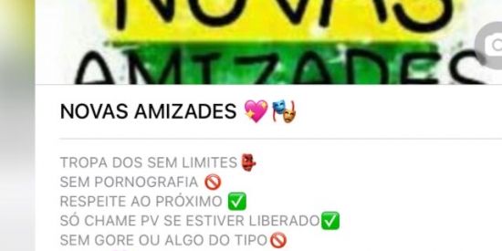 Imagem do grupo de WhatsApp AMIZADES NOVAS 💖😂