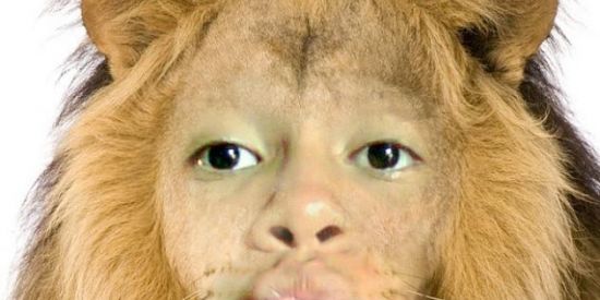 Imagem do grupo de WhatsApp Pão com Mortadela🍞