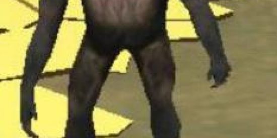 Imagem do grupo de WhatsApp SHIT DO MAMACO