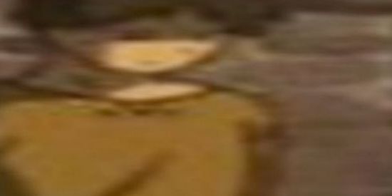 Imagem do grupo de WhatsApp gatinhas comunistas🤟🏼😎