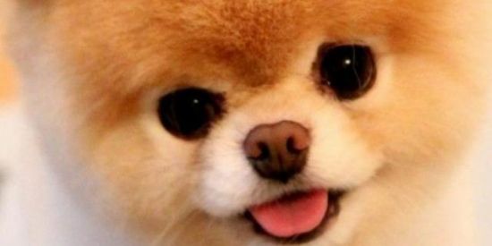 Imagem do grupo de WhatsApp Somente figurinhas fofa💝💖