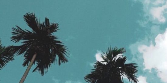 Imagem do grupo de WhatsApp Amizades