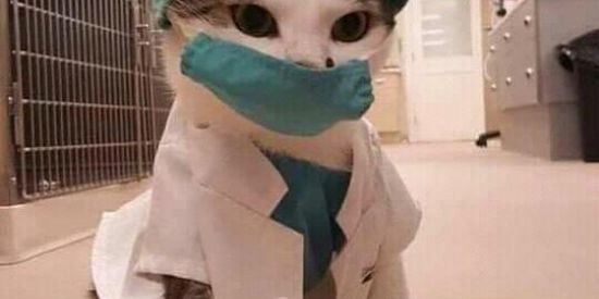 Imagem do grupo de WhatsApp Pessoas aleatórias