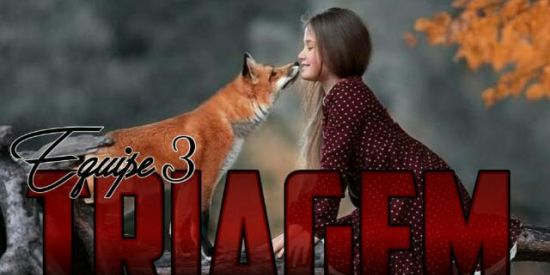 Imagem do grupo de WhatsApp 3️⃣🦊TRIAGEM ▪Ti'ร▪🦊