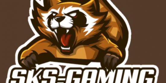 Imagem do grupo de WhatsApp SKS -GAMING