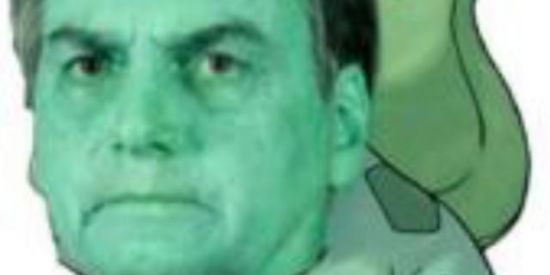 Imagem do grupo de WhatsApp FBI Brasil Renegados 🦞🦞🐢