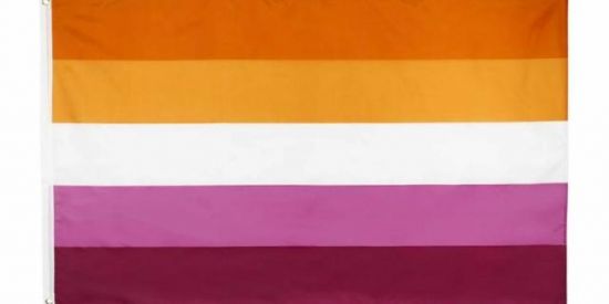 Imagem do grupo de WhatsApp Lésbicas