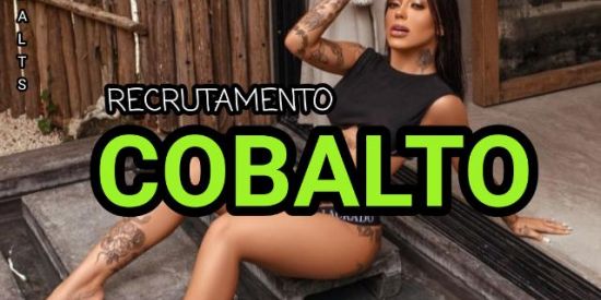 Imagem do grupo de WhatsApp RECRUTAMENTO COBALTO