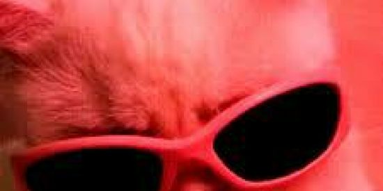 Imagem do grupo de WhatsApp Narcoticoa anonima