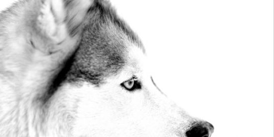 Imagem do grupo de WhatsApp Exponecialidade