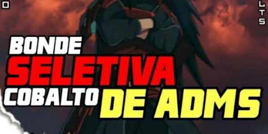 Imagem do grupo de WhatsApp Seletiva cobalto