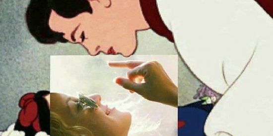 Imagem do grupo de WhatsApp Floresta dos cururus🧚‍♀️