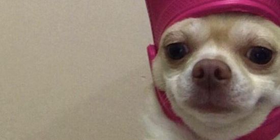 Imagem do grupo de WhatsApp Só AMIZADES 🥸🤡