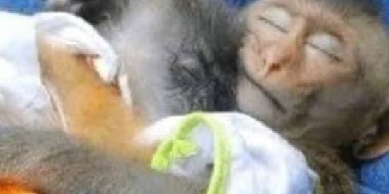 Imagem do grupo de WhatsApp Amizades💕🤠