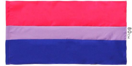 Imagem do grupo de WhatsApp Bisexuais