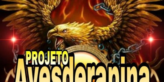 Imagem do grupo de WhatsApp 🛡⚔PROJETO AVES DE RAPINA ⚔🛡