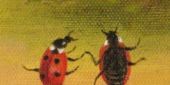 Imagem do grupo de WhatsApp Sla cara ✨💖