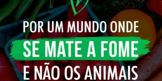 Imagem do grupo de WhatsApp Vegetarianas e Veganos🌱💚🐷