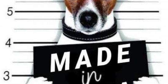 Imagem do grupo de WhatsApp Amizades novas😎🤝