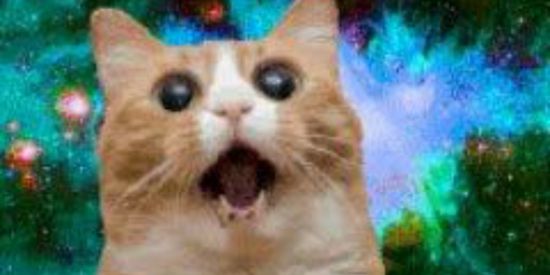 Imagem do grupo de WhatsApp seu sacana