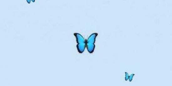 Imagem do grupo de WhatsApp only girls🍒☁️