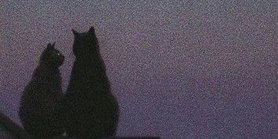 Imagem do grupo de WhatsApp ⚡🌹ꪶFamilia Hippieꫂ🌹⚡