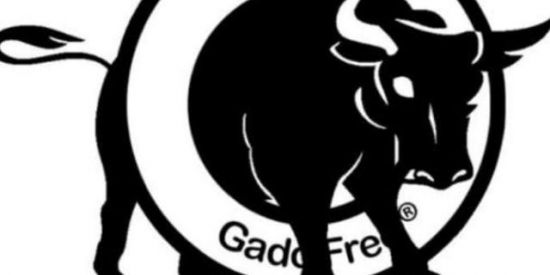 Imagem do grupo de WhatsApp Gado Free®