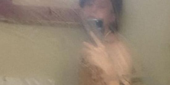 Imagem do grupo de WhatsApp N tem como