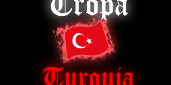 Imagem do grupo de WhatsApp 🇹🇷⃤ꪶTROPA DA TURQUIAꫂ 🇹🇷⃢999+