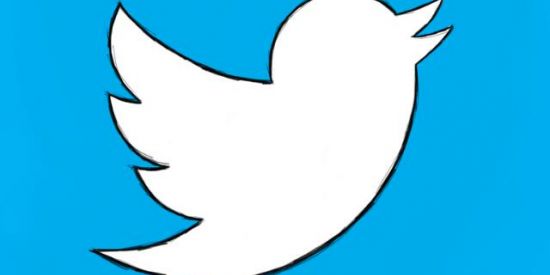 Imagem do grupo de WhatsApp _Twitter🍃🐊_