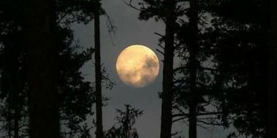 Imagem do grupo de WhatsApp 🌕 AMANTES DA LUA 🌕