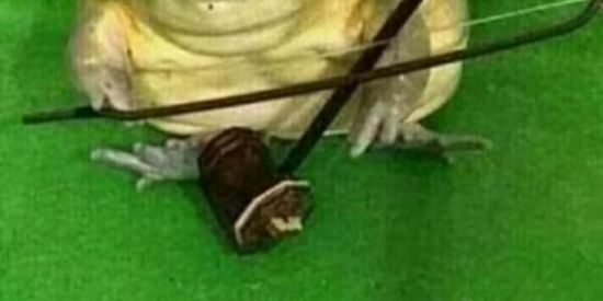 Imagem do grupo de WhatsApp Namorem o Bielᕦ༼✩ل͜✩༽ᕤ❤️