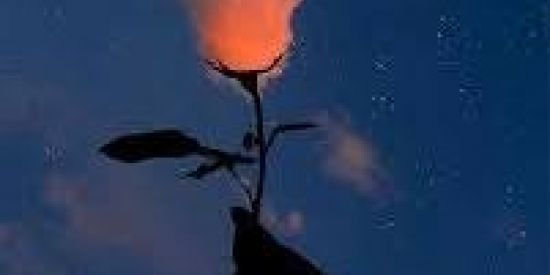 Imagem do grupo de WhatsApp Amizades 2021😊